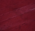 tecido_muscular_estriado2.jpg
